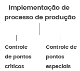 Implementação de processo de produção