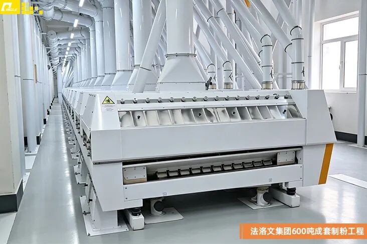Tadjique 500/600T