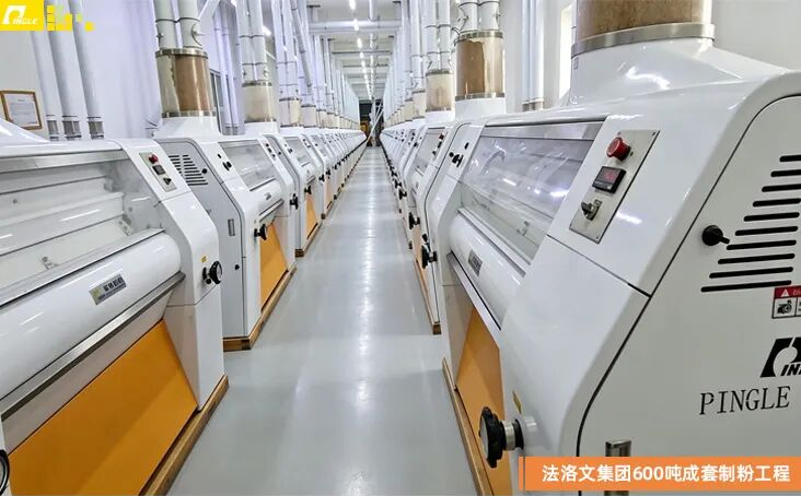 Tadjique 500/600T